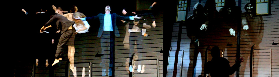 Night Parrot Productions - Work